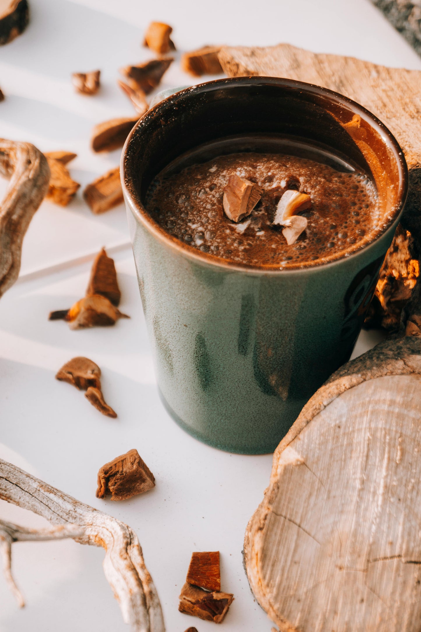 REISHI EN POLVO BIO | ORGANIC REISHI POWDER